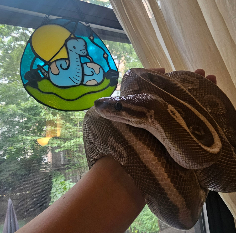 Cosmic Serpent [GLOW-IN-THE-DARK] Stained Glass Art